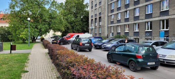 Żywopłot oddzielający chodnik od ulicy.