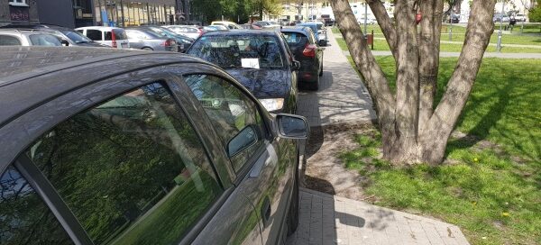 Drzewo obok miejsc parkingowych.