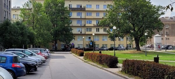 Żywopłot oddzielający chodnik od ulicy.