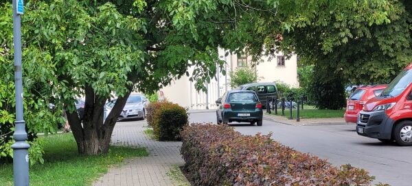 Żywopłot oddzielający chodnik od ulicy.