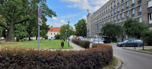 Żywopłot oddzielający chodnik od ulicy.