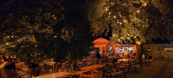 Stare drzewo, Jesion, pod którym znajduje się teren restauracji. Korona drzewa jest w nocy podświetlona.