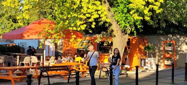Teren restauracji znajdujący się pod starym, rozłożystym drzewem.