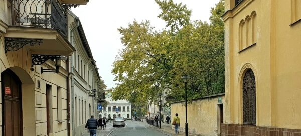 Uliczka Starego Miasta, przy której rośnie rozłożyste drzewo, Jesion.
