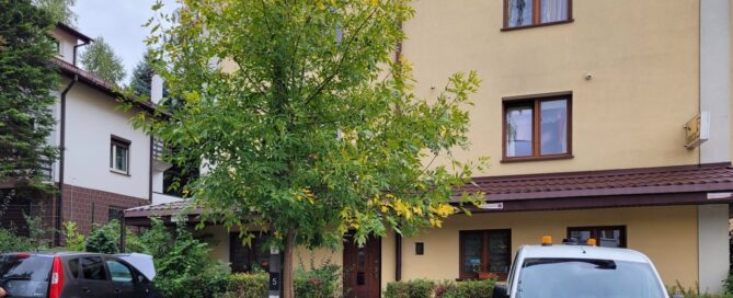 Drzewo posadzone przed wejściem do hotelu.