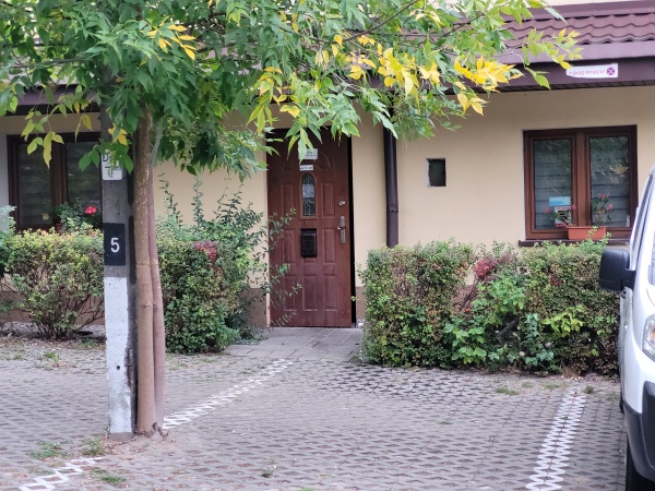 Drzewo i żywopłot przed wejściem do hotelu.
