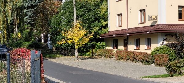 Roślinność na ulicy gdzie znajduje się hotel.