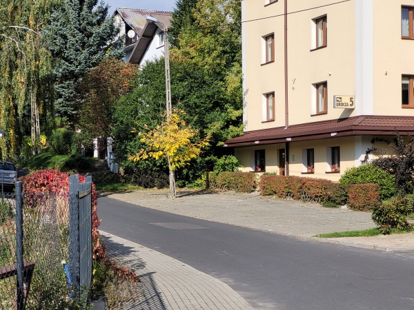 Roślinność na ulicy gdzie znajduje się hotel.