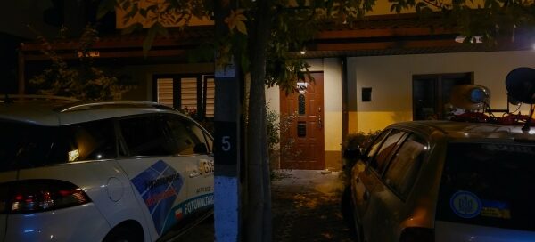 Drzewo rosnące przed hotelem.