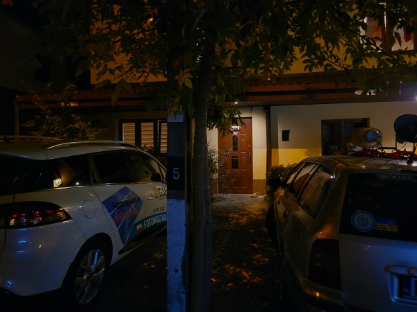 Drzewo rosnące przed hotelem.