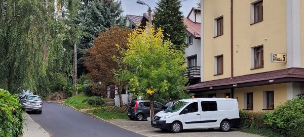 Roślinność na ulicy gdzie znajduje się hotel.