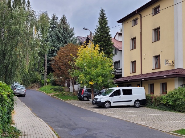 Roślinność na ulicy gdzie znajduje się hotel.