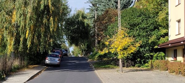 Roślinność na ulicy gdzie znajduje się hotel.