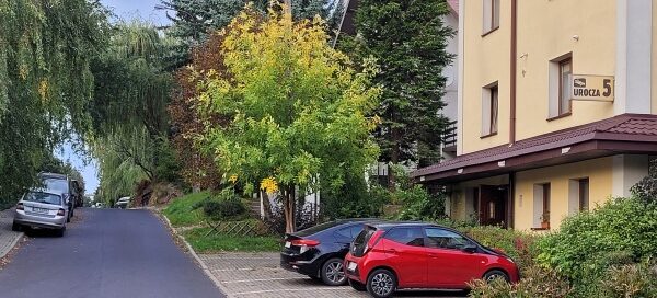 Roślinność na ulicy gdzie znajduje się hotel.