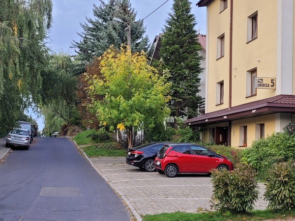 Roślinność na ulicy gdzie znajduje się hotel.