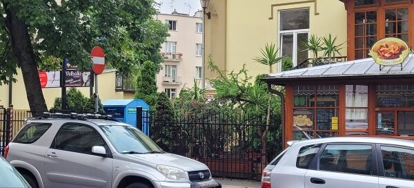 Roślinność zasadzona w donicach, przed jednym z lokali usługowych w centrum miasta.