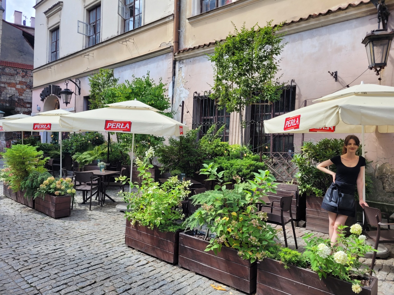 Roślinność zdobiąca ogródek przed jedną z restauracji mieszczących się na Starym Mieście.