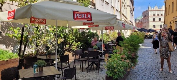 Roślinność zdobiąca ogródek przed jedną z restauracji mieszczących się na Starym Mieście.