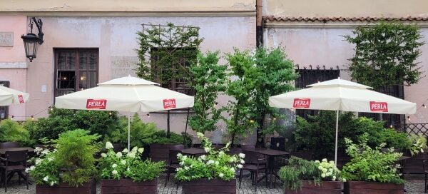 Roślinność zdobiąca ogródek przed jedną z restauracji mieszczących się na Starym Mieście.