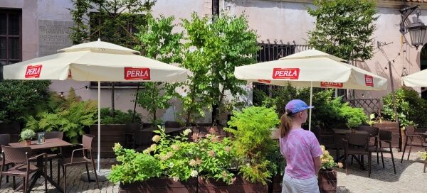 Roślinność zdobiąca ogródek przed jedną z restauracji mieszczących się na Starym Mieście.