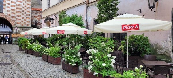 Roślinność zdobiąca ogródek przed jedną z restauracji mieszczących się na starym mieście.