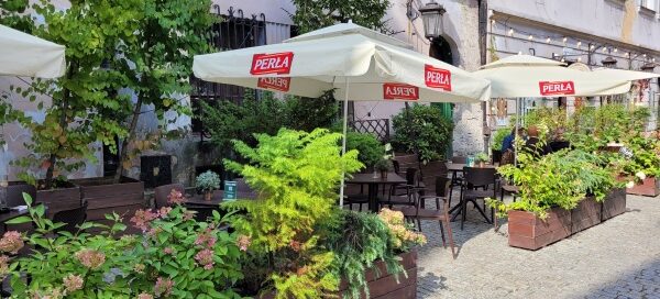 Roślinność zdobiąca ogródek przed jedną z restauracji mieszczących się na starym mieście.