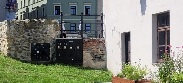 Trawnik i drewniane donice z roślinnością.