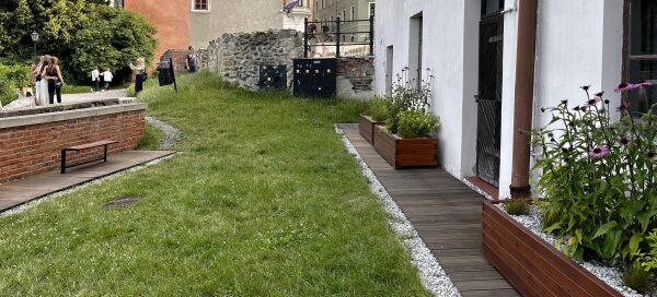 Trawnik przed kamienicą na Starym Mieście.