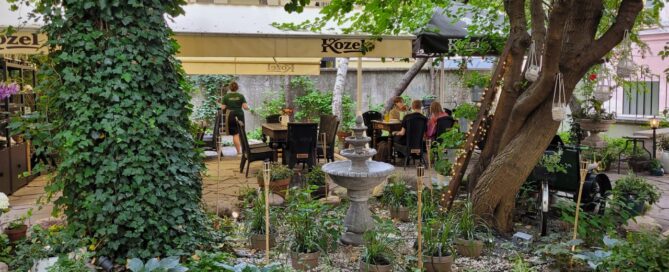 Ogródek gastronomiczny, którego atmosferę tworzą stare drzewa i pnącza.