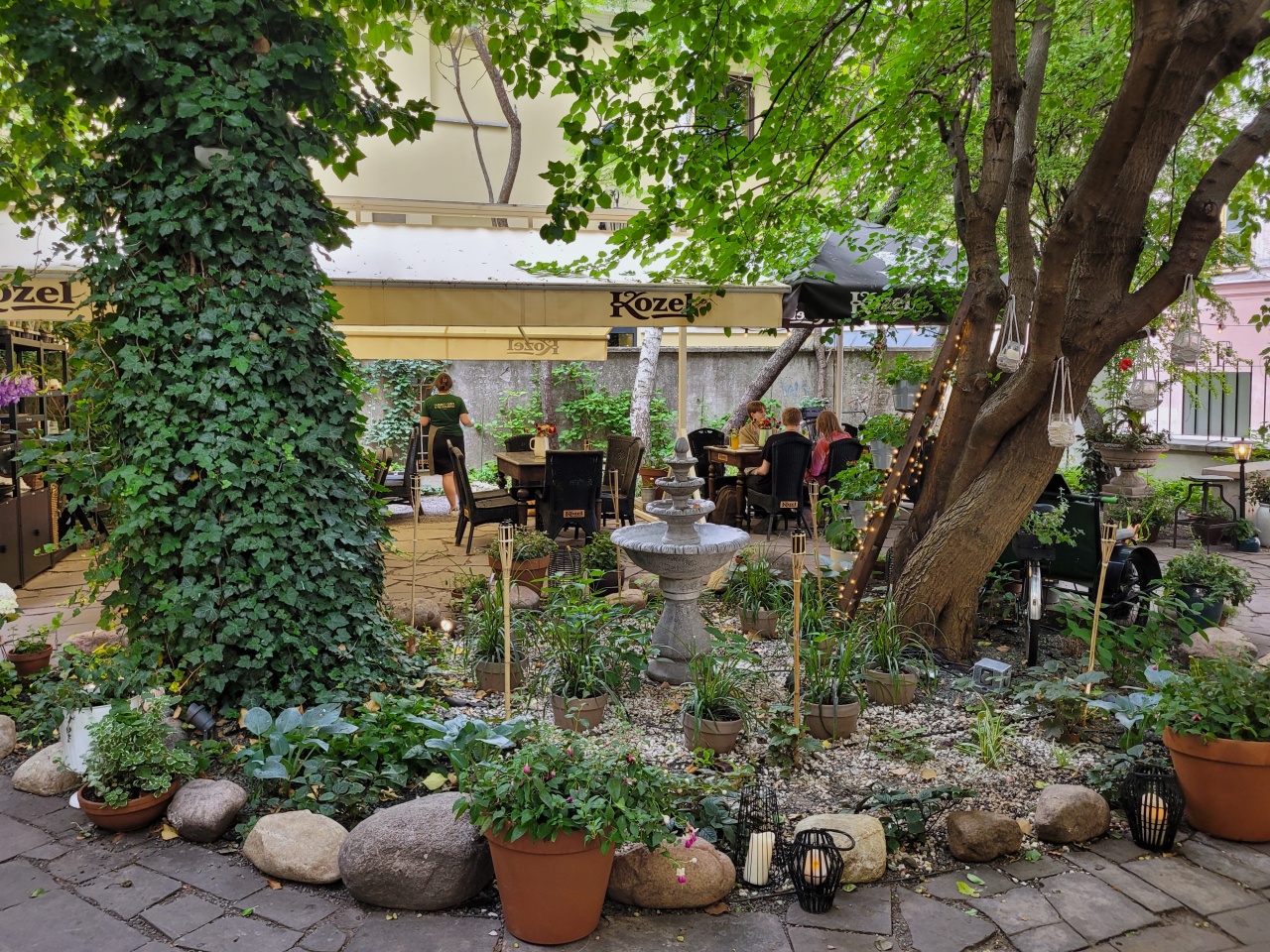Ogródek gastronomiczny, którego atmosferę tworzą stare drzewa i pnącza.
