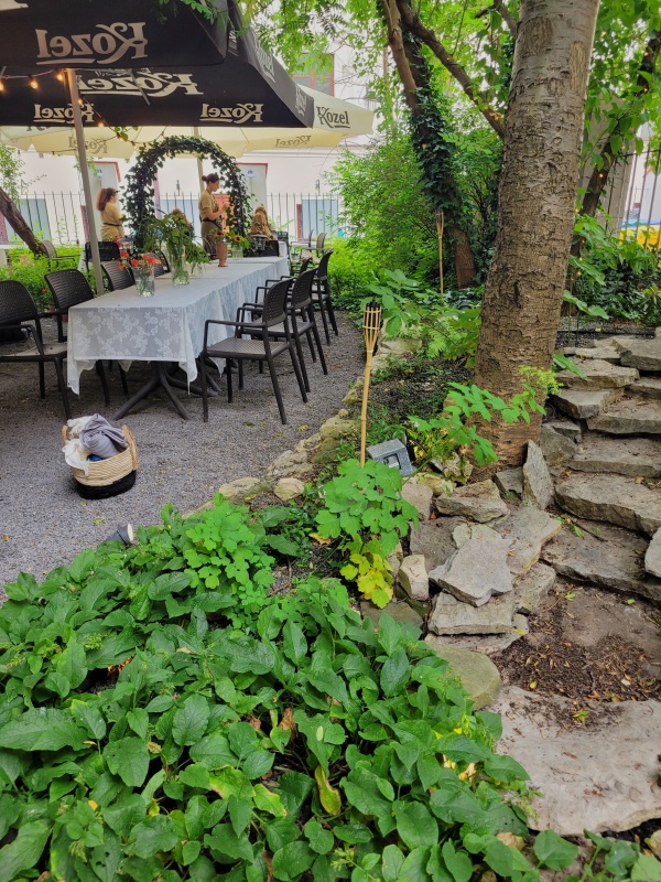 Stoliki dla gości otoczne roślinnością ogródka gastronomicznego.