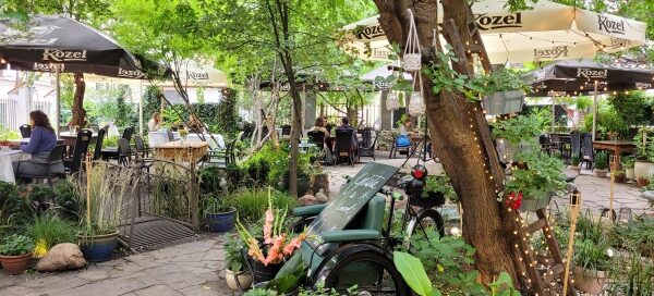 Ogródek gastronomiczny, którego atmosferę tworzą stare drzewa i pnącza.