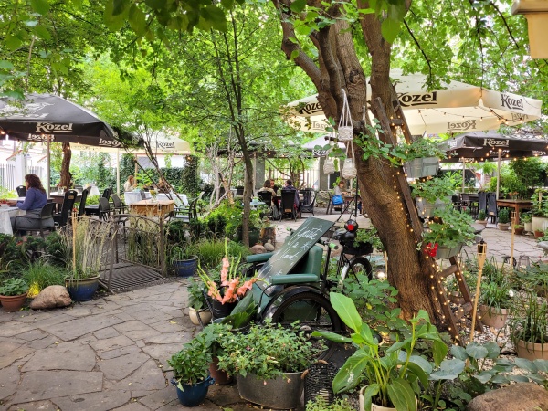 Ogródek gastronomiczny, którego atmosferę tworzą stare drzewa i pnącza.