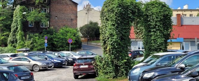 Dzikie pnącze porastające stelaż reklamy, znajdujący się na parkingu.