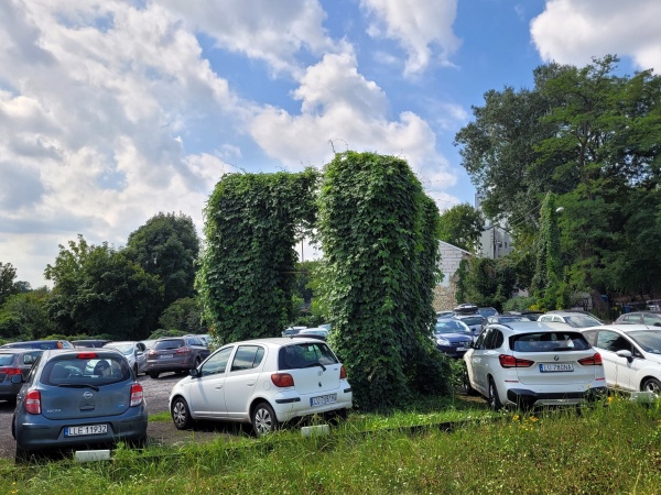 Dzikie pnącze porastające stelaż reklamy, znajdujący się na parkingu.