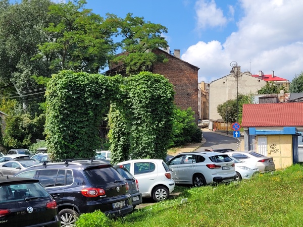 Dzikie pnącze porastające stelaż reklamy, znajdujący się na parkingu.