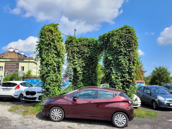Dzikie pnącze porastające stelaż reklamy, znajdujący się na parkingu.