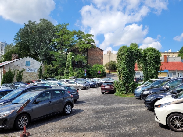 Dzikie pnącze porastające stelaż reklamy, znajdujący się na parkingu.