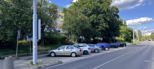 Pas zieleni na skarpie, oddzielający chodnik od ulicy.