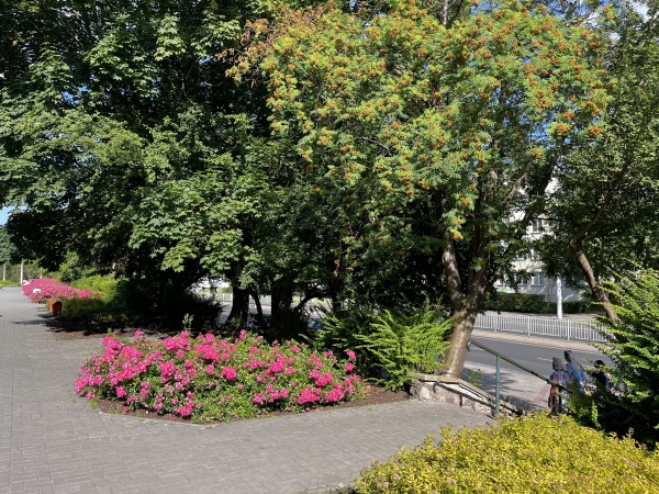 Pas roślinności z nasadzeniami kwiatów, przy pasażu handlowym.