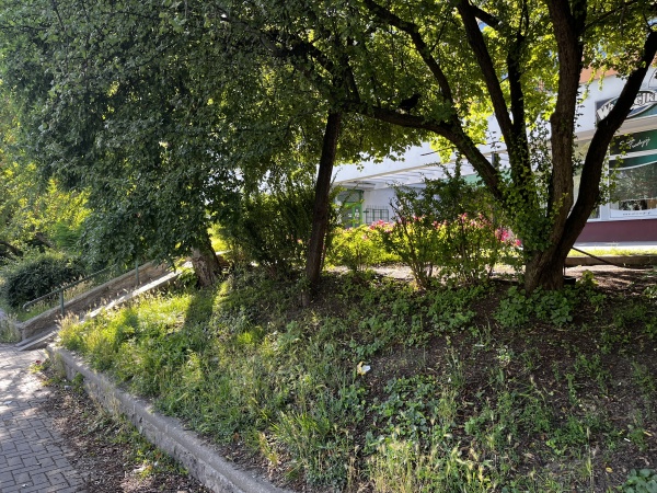 Skarpa z roślinnością, oddzielająca pasaż od ulicy.