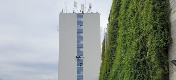 Wielopoziomowy parking, na ścianach którego, zasadzono pnącza.