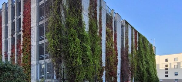 Wielopoziomowy parking, na ścianach którego, zasadzono pnącza.