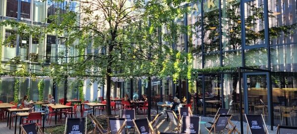 Drzewo zasadzone na podwórku restauracji.