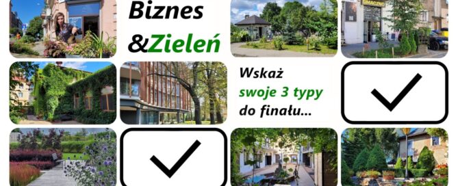 Kolaż ze zdjęć.
