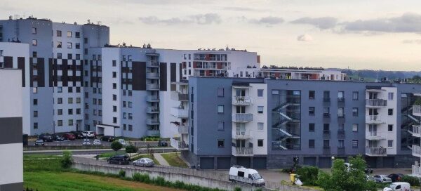 Widok na pole konopi włóknistej posadzonej między blokami mieszkalnymi.