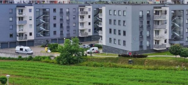 Widok na pole konopi włóknistej posadzonej między blokami mieszkalnymi.