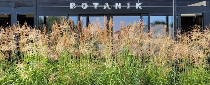 Ozdobne trawy posadzone wzdłuż przeszklonej ściany restauracji.