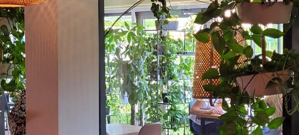 Wnętrze restauracji ozdobione roślinnością.