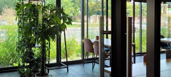 Wnętrze restauracji ozdobione roślinnością.